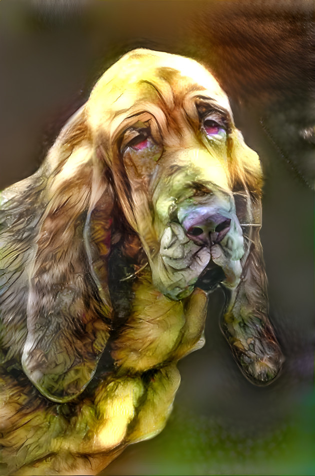 My bloodhound girl KLARA