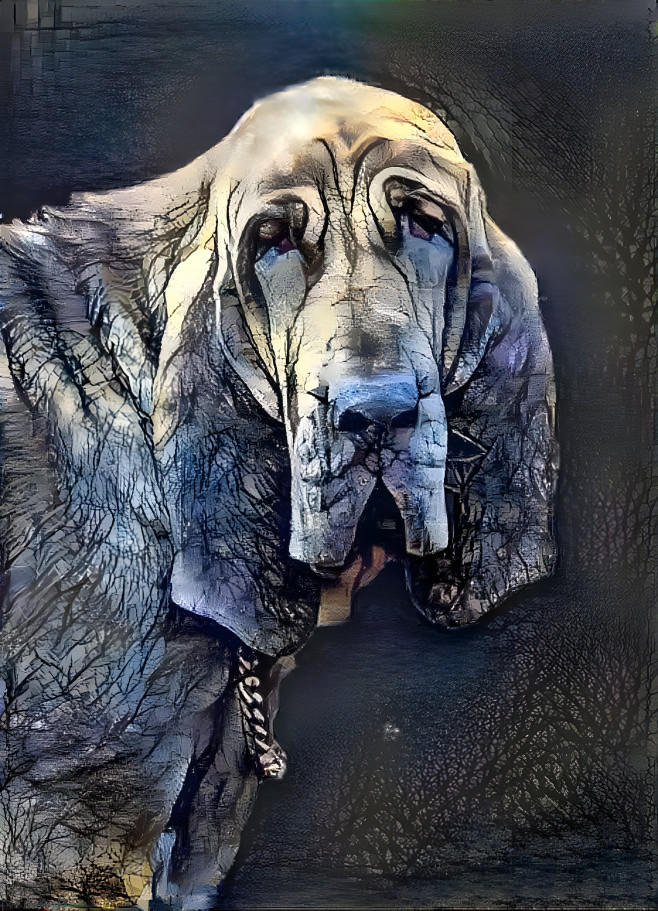 My bloodhound girl IRANDA