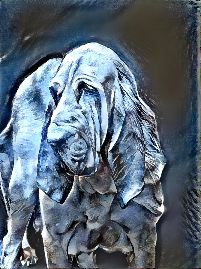 My bloodhound boy ROBINSON