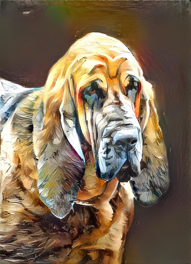 My bloodhound boy PEPPINO