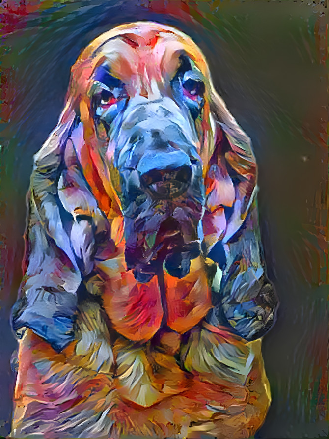 My bloodhound boy BERTIE