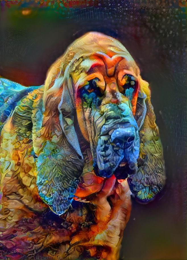 My bloodhound boy PEPPINO