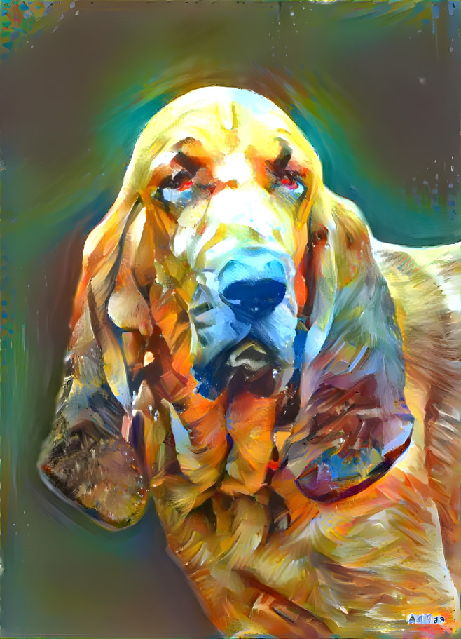 mY BLOODHOUND BOY RUDI