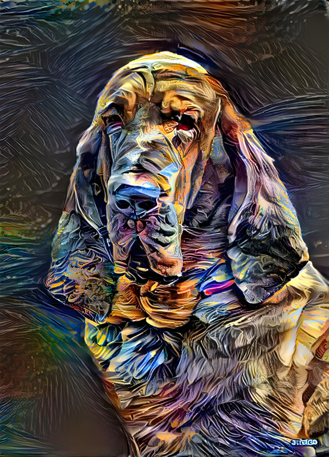 My bloodhound boy RUFUS