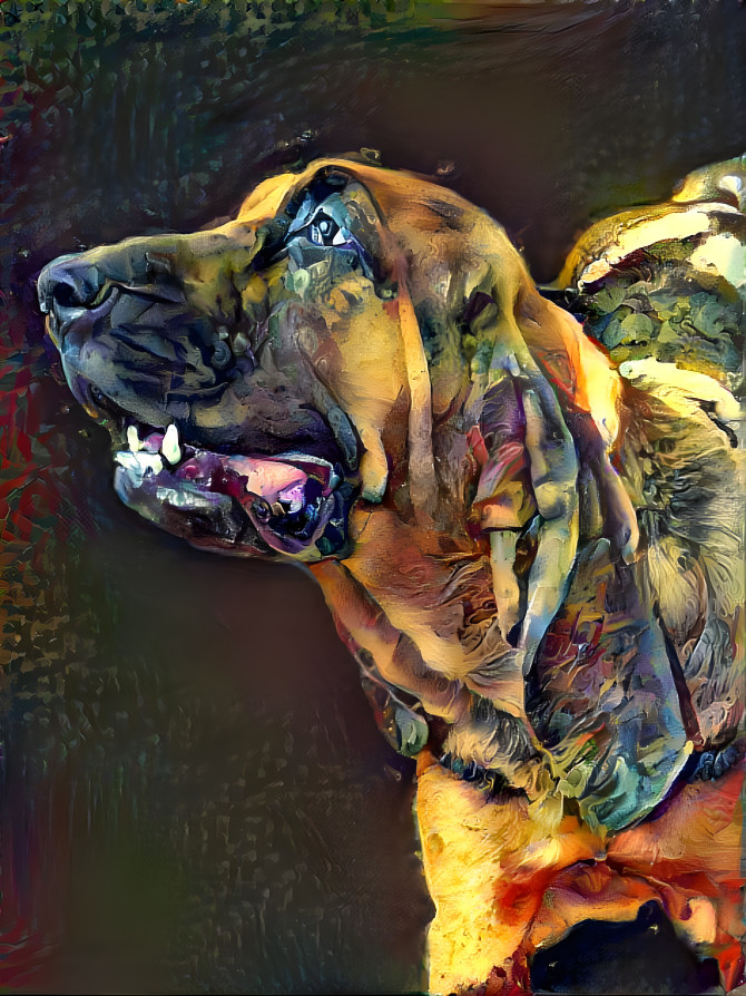 My bloodhound girl BRUNHILDA