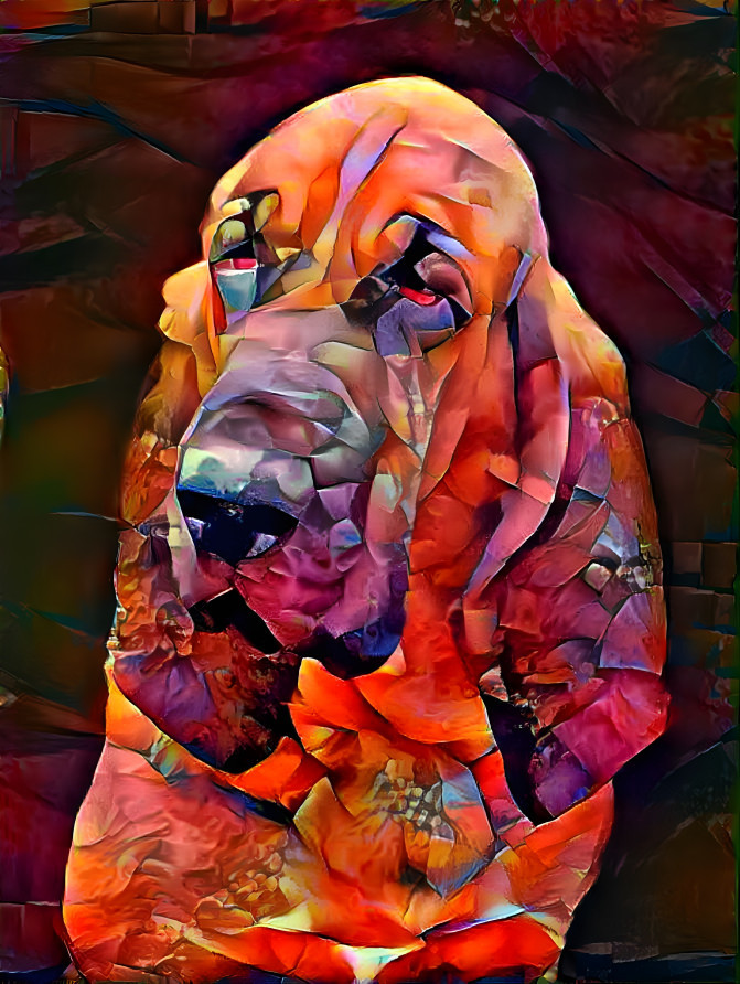 My bloodhound girl PEARLEEN