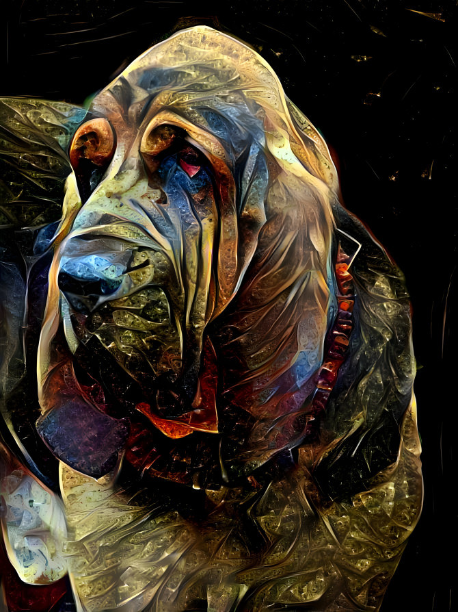 My bloodhound boy ROBINSON