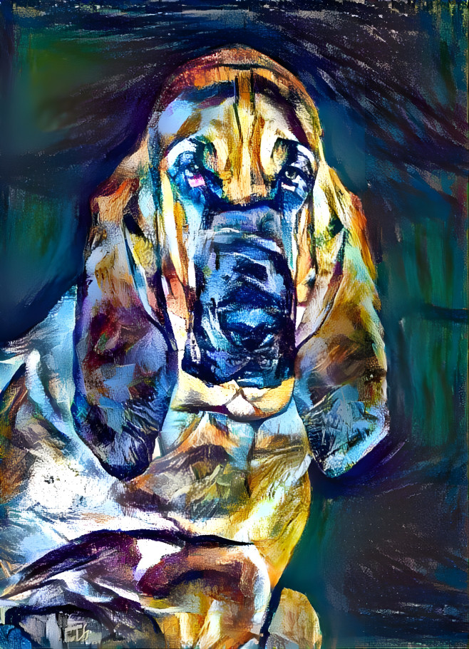 My bloodhound girl PEARLEEN