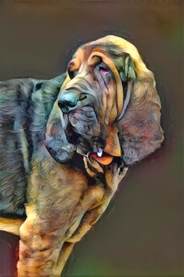 My bloodhound boy VONDRACEK