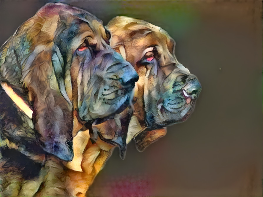 My bloodhounds: Vondracek & his son Peppino