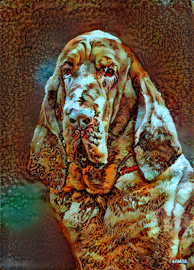 My bloodhound boy RUFUS