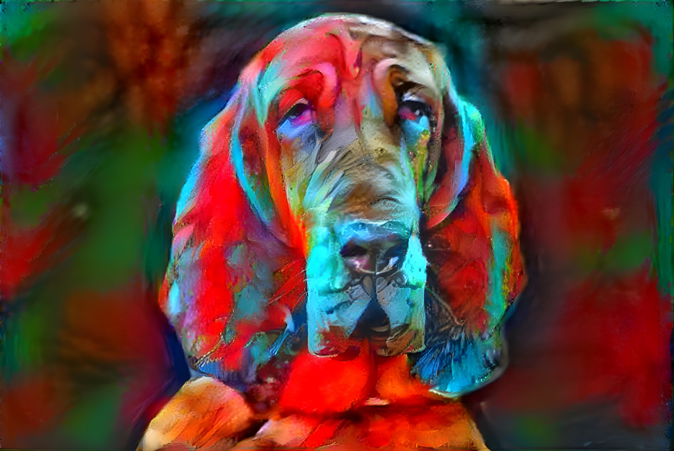 My bloodhound girl IRANDA