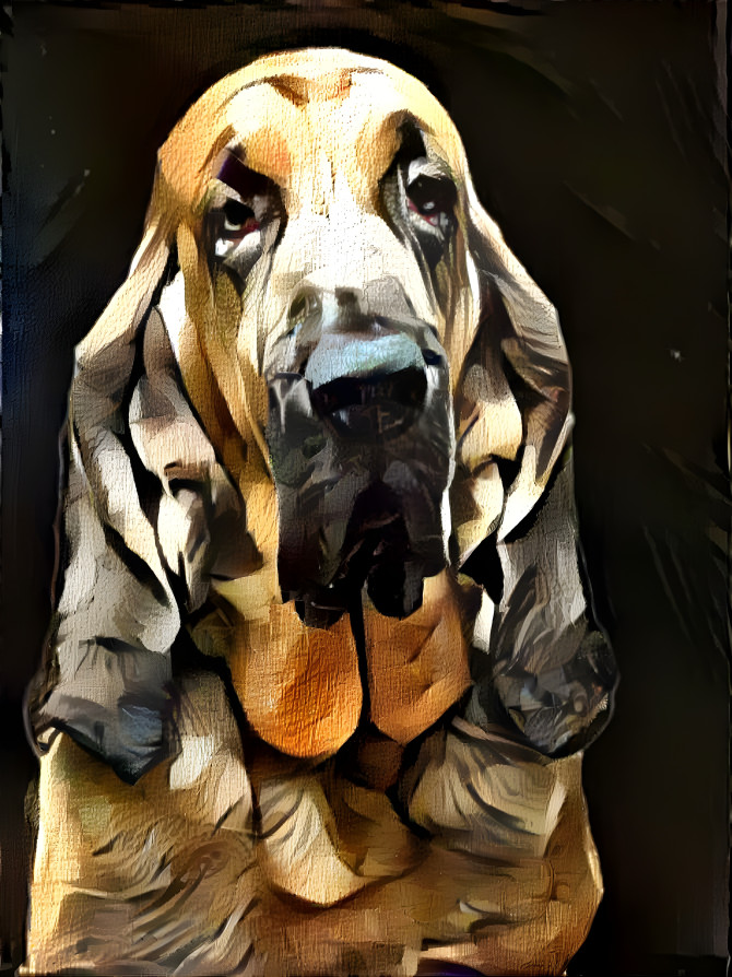 My bloodhound boy BERTIE