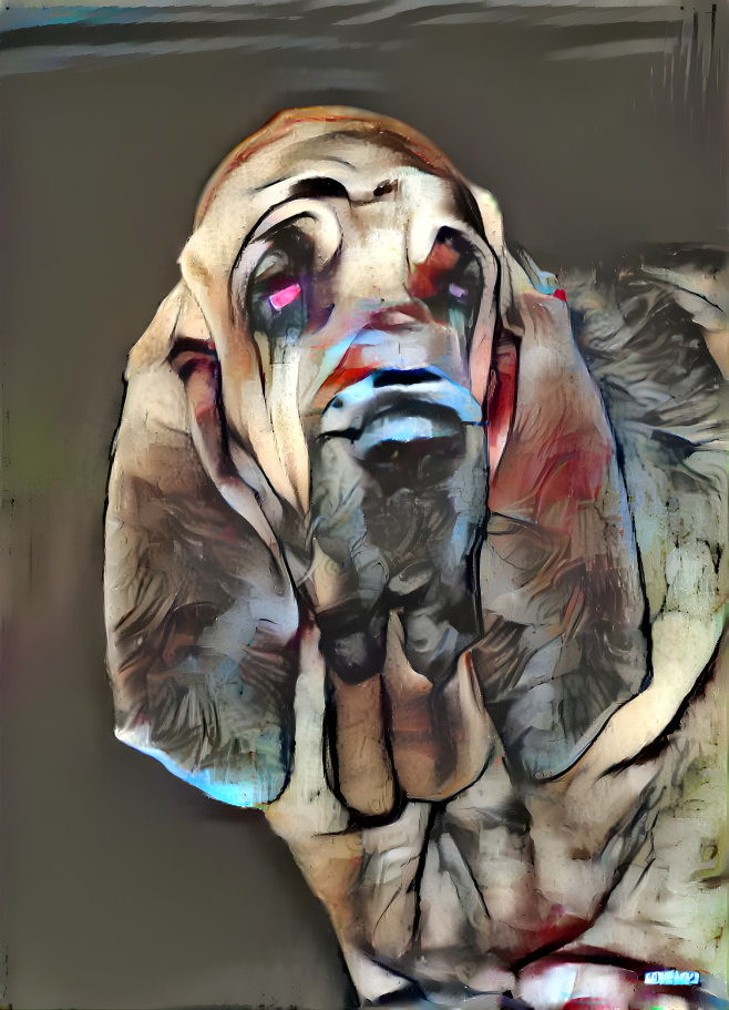 My bloodhound girl SYRENKA