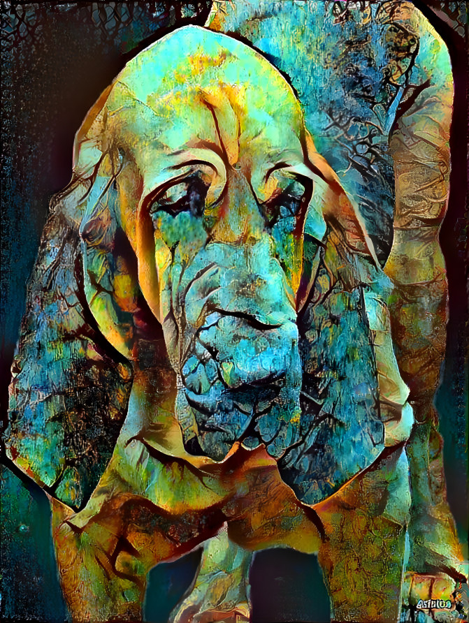 My bloodhound boy ROBINSON