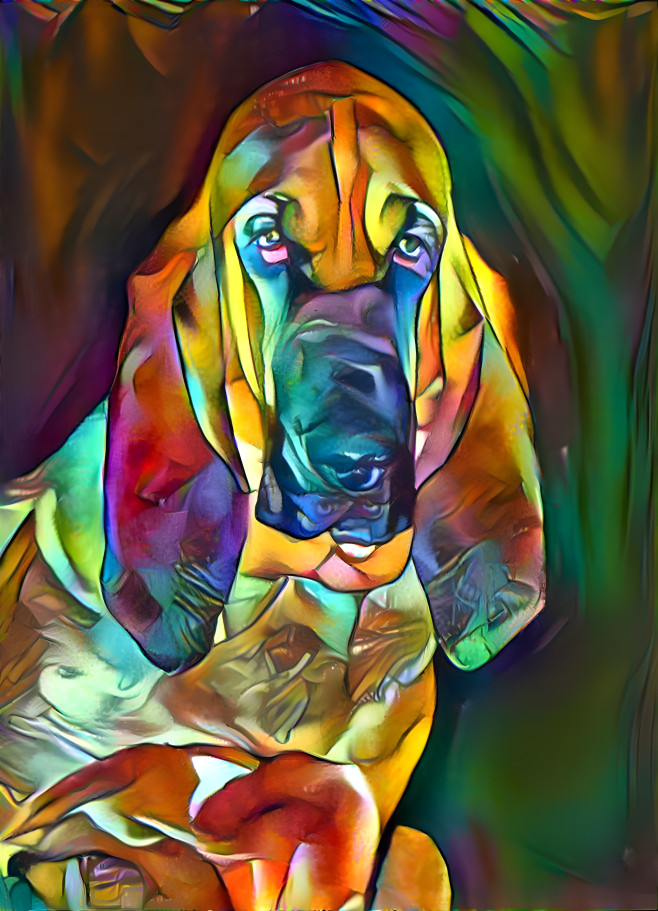 My bloodhound girl PEARLEEN