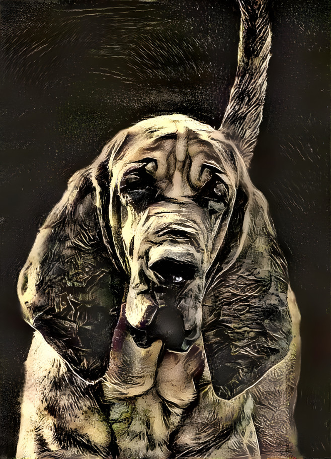 My bloodhound girl Pearleen