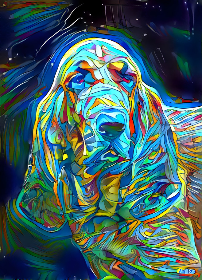 My bloodhound boy RUDI 