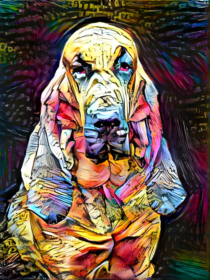 my bloodhound girl LORENZA