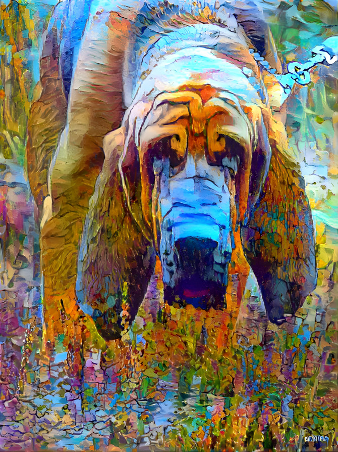 My bloodhound boy PEPPINO