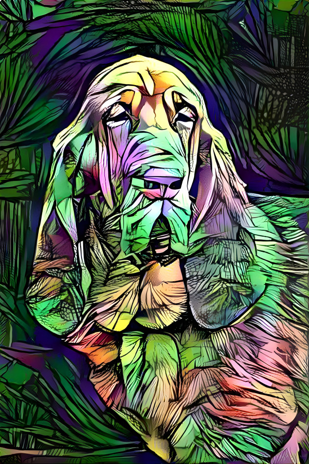 My bloodhound boy RUFUS