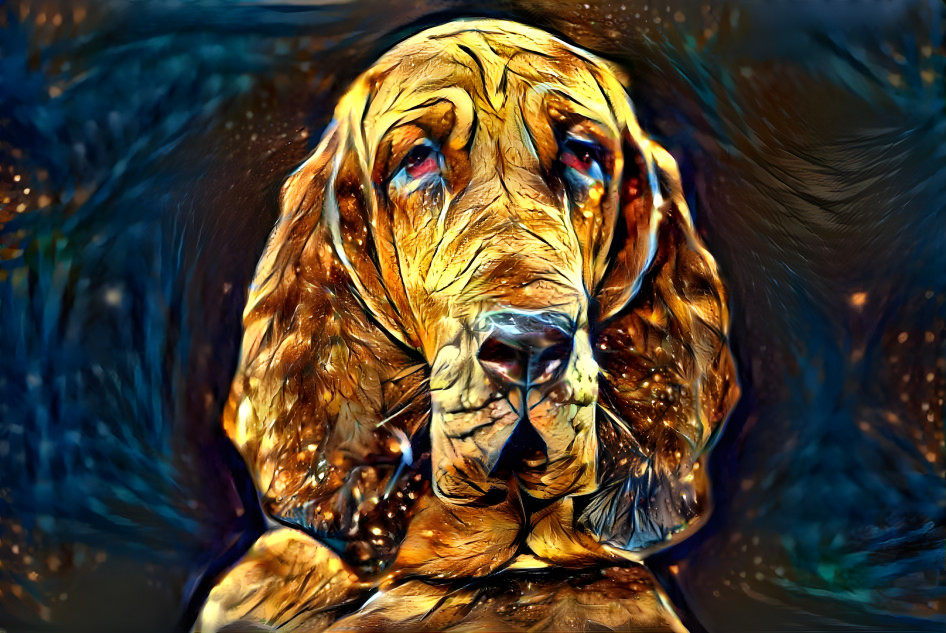 My bloodhound girl IRANDA