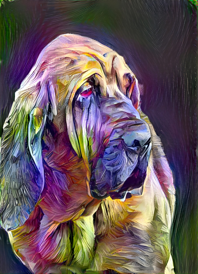 My bloodhound boy PEPPINO