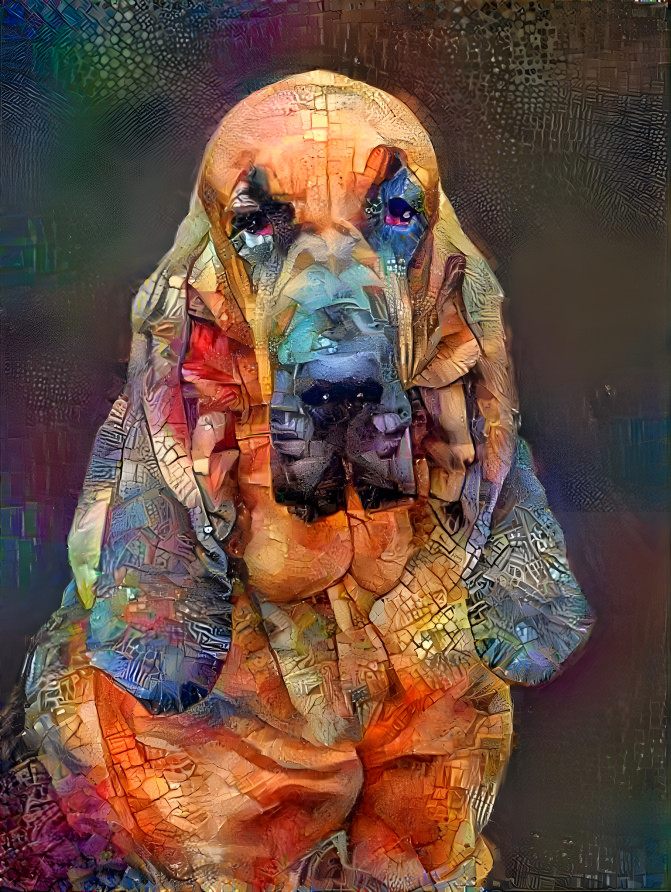 My bloodhound girl Lorenza