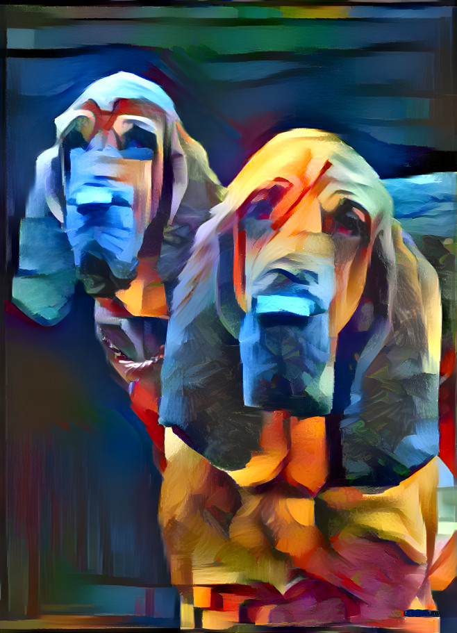 My bloodhounds: ROBINSON & his grandma ROSIE