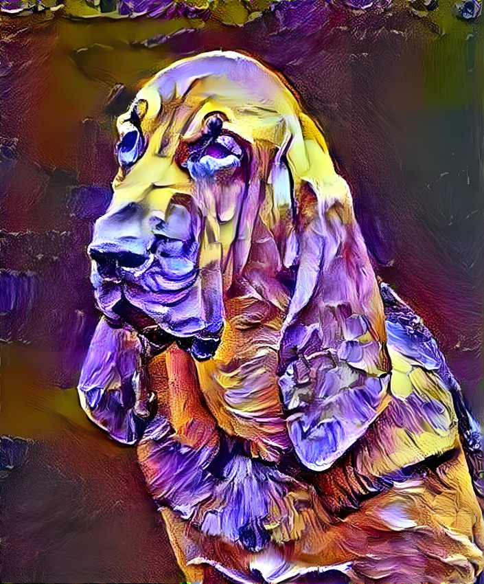 My bloodhound girl IRMA