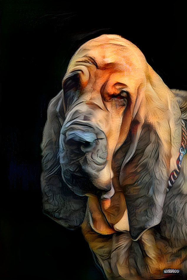 My bloodhound girl SYRENKA