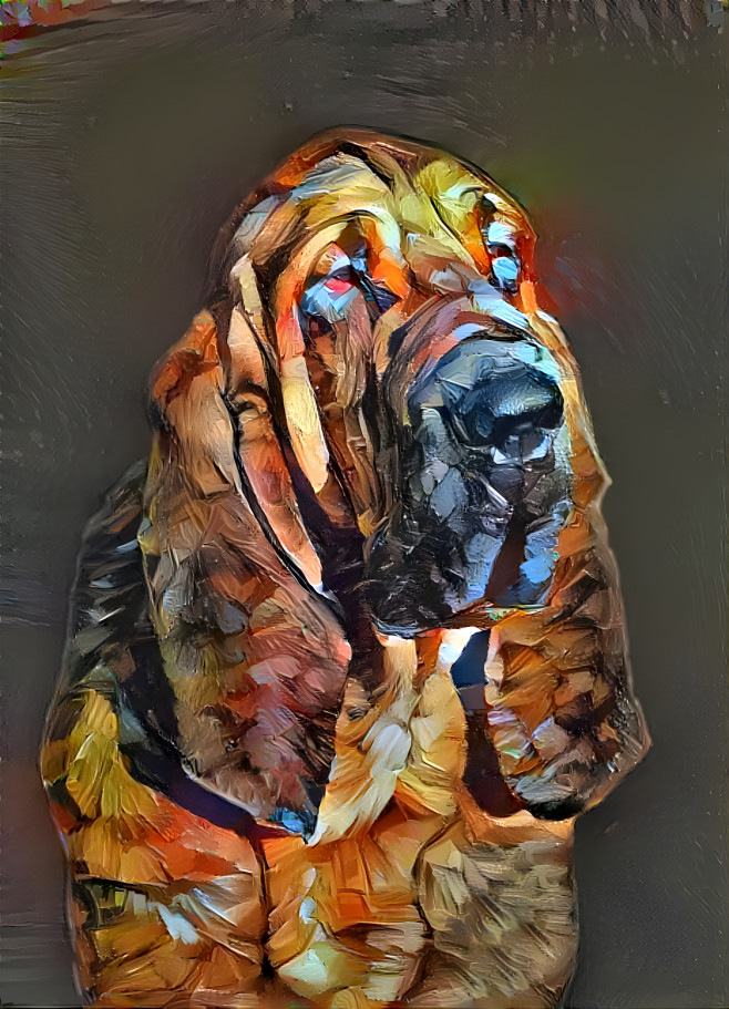 My bloodhound boy ROBINSON