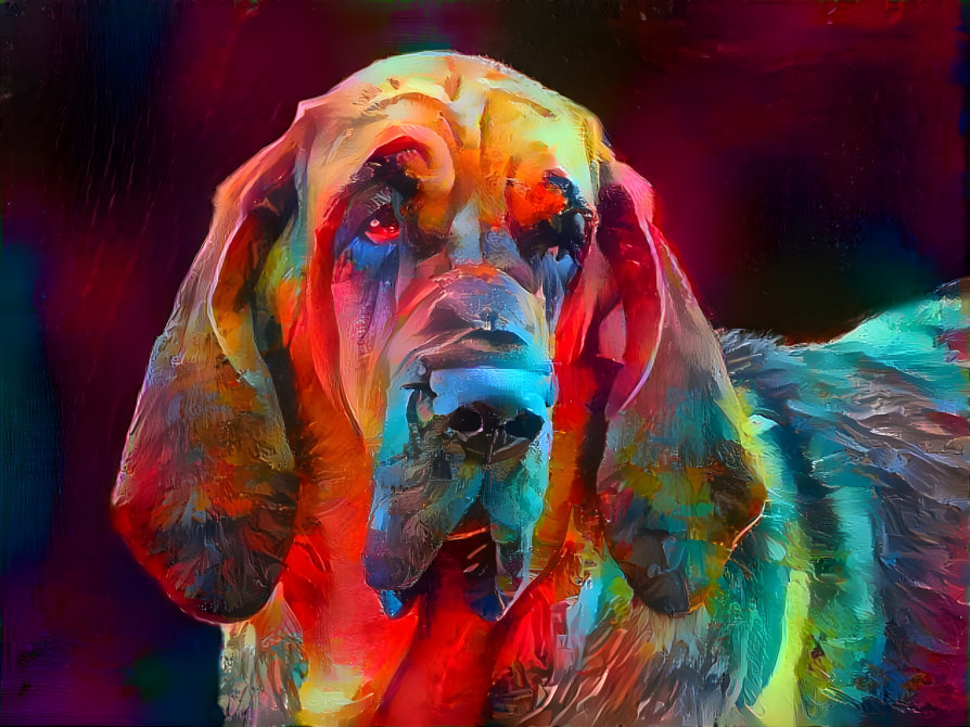 My bloodhound girl MARY