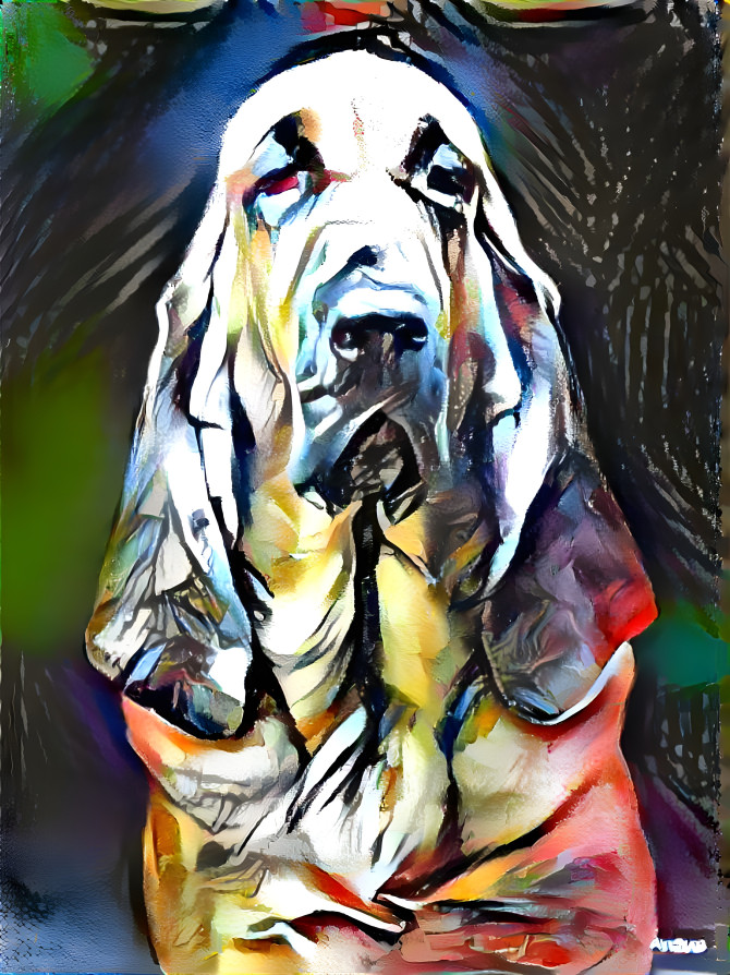 My bloodhound girl LORENZA