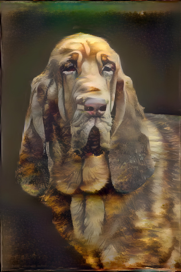 My bloodhound boy RUFUS