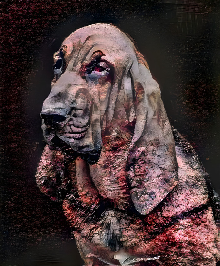 My bloodhound girl IRMA