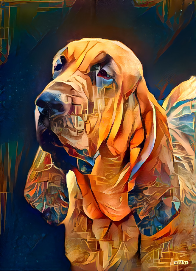 My bloodhound girl PEARLEEN