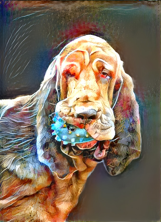 My bloodhound boy RUFUS