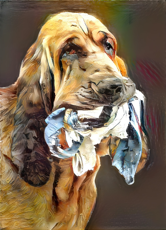 My bloodhound boy RUDI