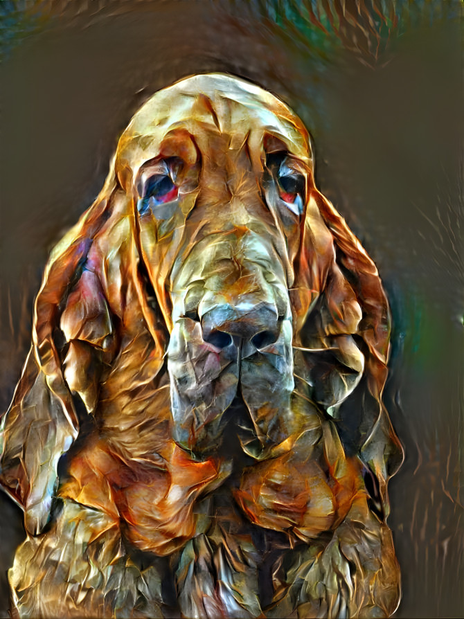 My bloodhound girl Klara