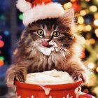 Whimsical digital painting of fluffy cat in Santa hat submerged in bubbly beverage