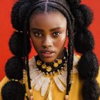 Woman portrait with intricate braided hair, golden jewelry, yellow garment, red background