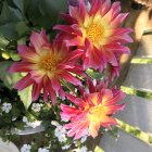 Colorful painting of daisies in a basket with white flowers on softly lit backdrop