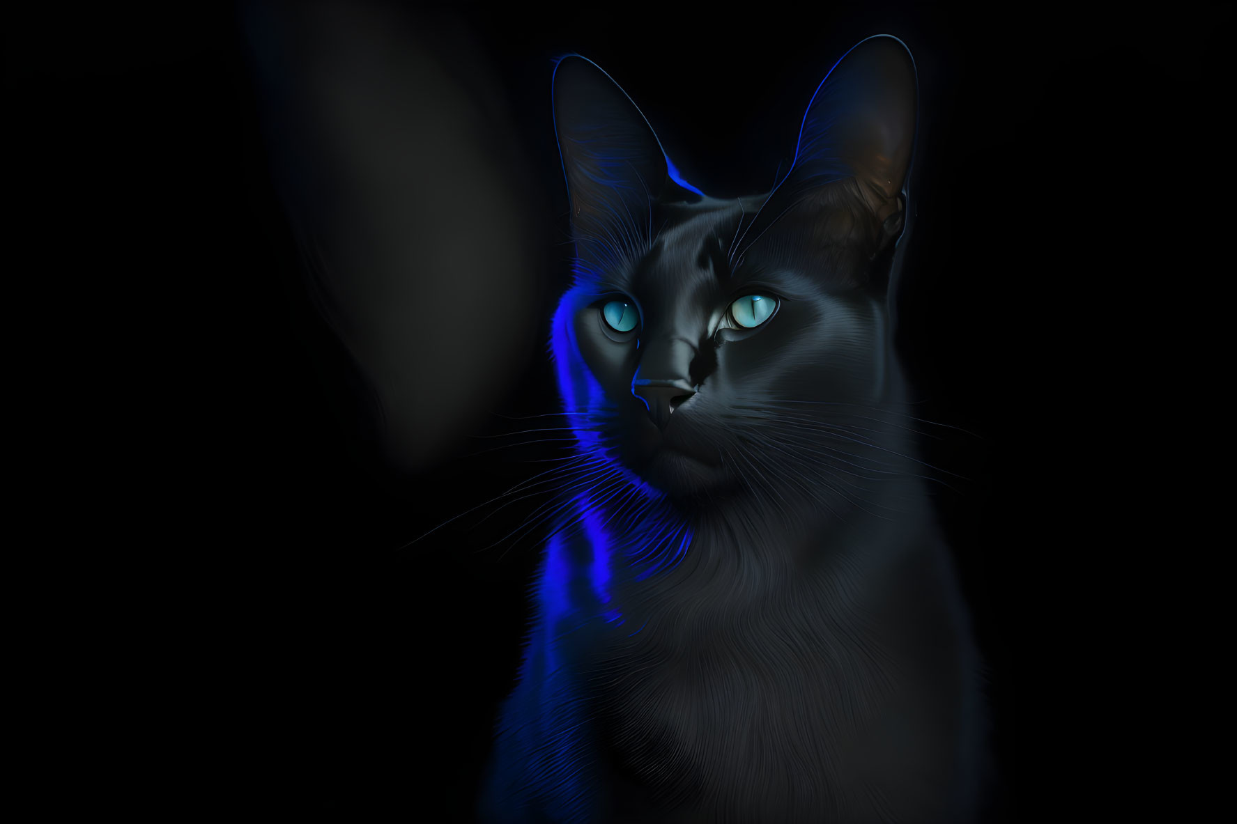 Black Cat with Piercing Blue Eyes on Dark Background