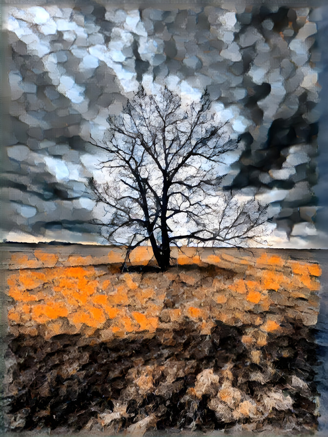 Cool Tree - Orange