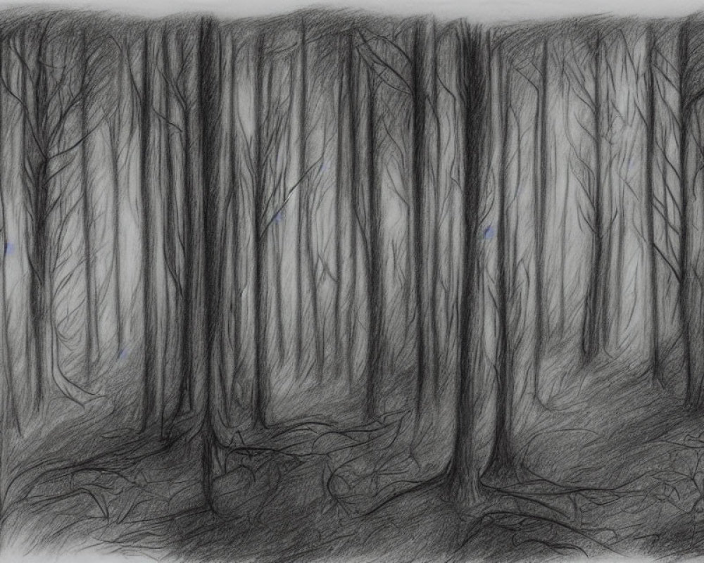 Detailed monochrome pencil sketch of dense forest scene.