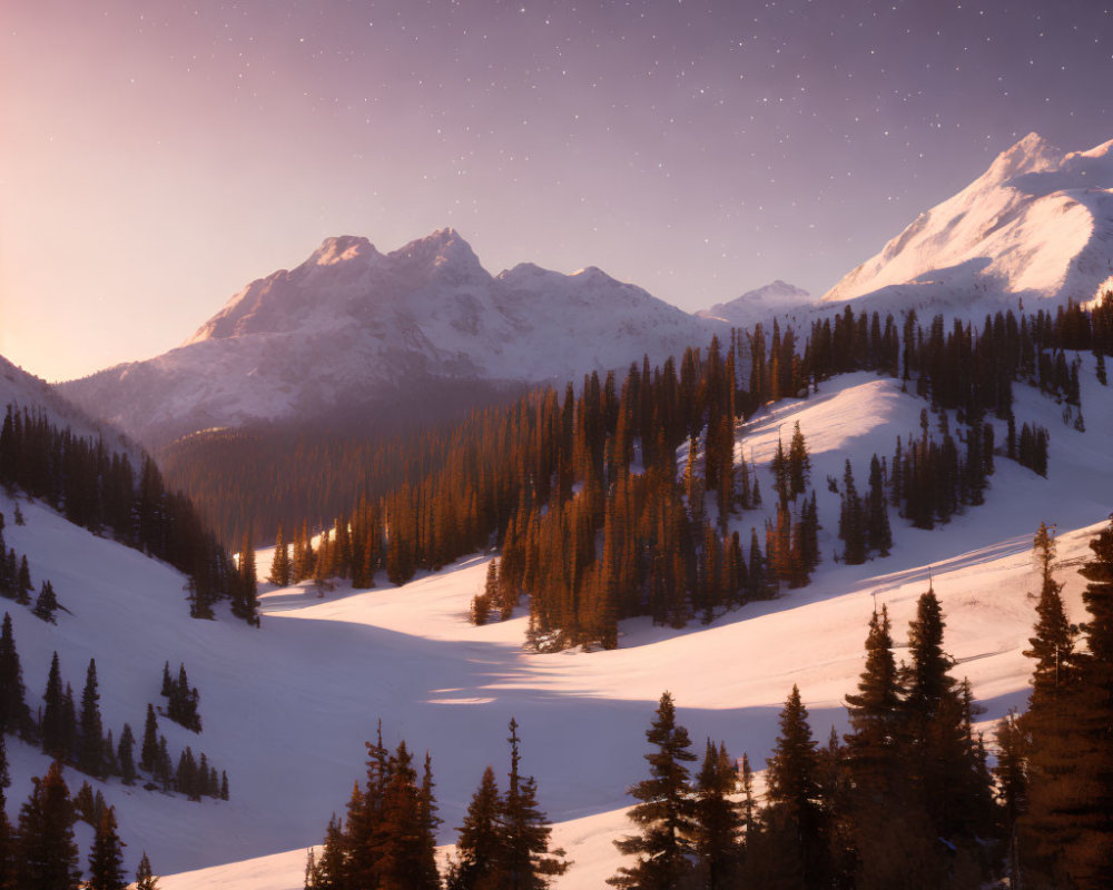 Snow-covered mountain and forest under starry sky at twilight