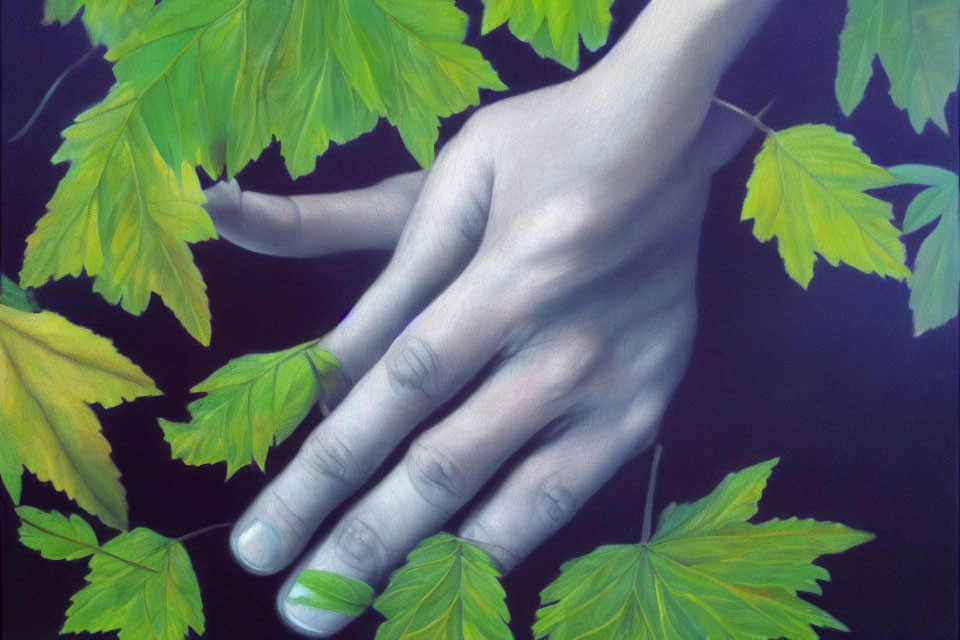 Realistic painting of human hand touching maple leaves