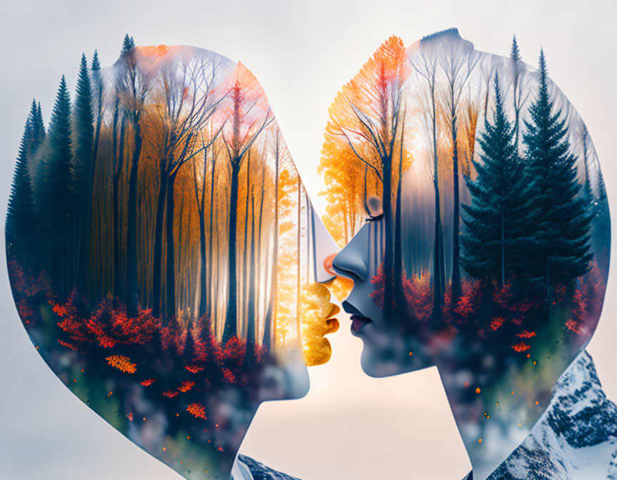 Artistic image blending two faces with forest scenes in different seasons.