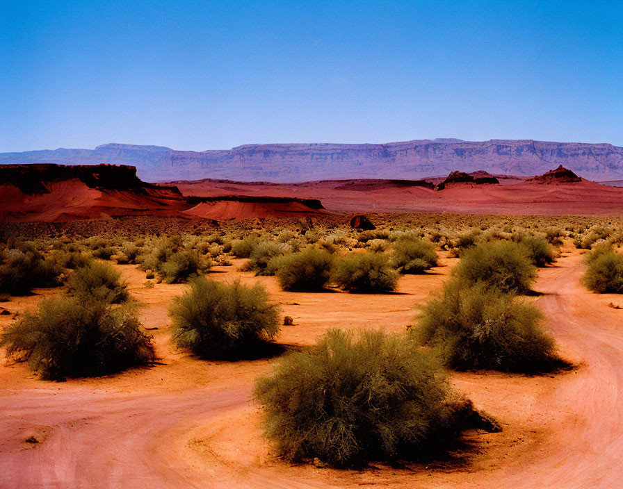 Red desert landscape with winding paths and mesa horizon.